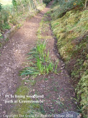 PCIs at Greencoombe (1)